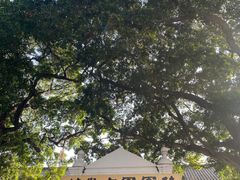 -黄埔军校旧址纪念馆
