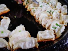 -胖子锅贴(双阳路111弄店)