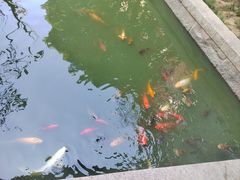 -苏州吴宫泛太平洋酒店