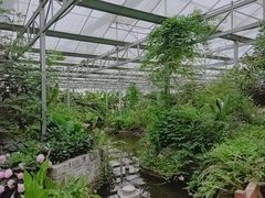 -嬉乐湾休闲旅游区