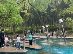 -东明山森林公园