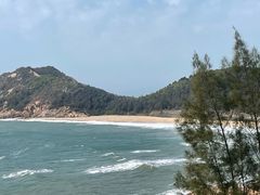 -广东惠东海龟国家级自然保护区
