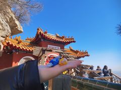 -老庞家水馅包子馆