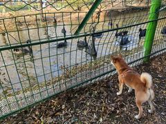 -长白岛森林公园