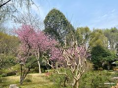 -龙井草堂