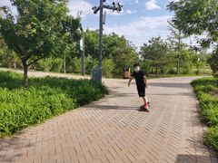 -东郊湿地公园