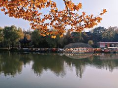 -泰州凤城河风景区-泰山公园