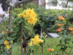 iphone_upload_pic-锦屏公园