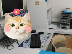 -达爱动物医院·犬猫分区·CT·复杂眼科(远洋山水分院)