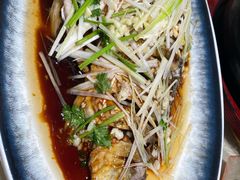 崂山水库鱼-崂山水果园农家宴(泉水鸡店)