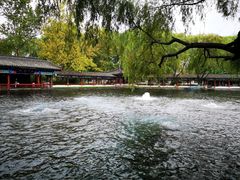 -百脉泉景区