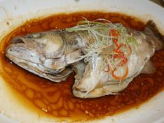-鱼翅楼·津派砂锅鱼翅(水上公园店)