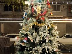 -雪熊精酿·哈尔滨烧烤酒馆(非遗大串店)