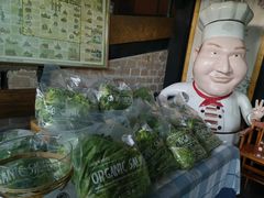 -Ohkajhu Organic Farm Sansai