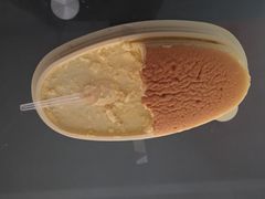 -静安面包房(万航渡路店)