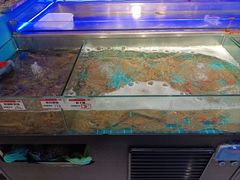 水产区-阿毛饭店(和义路店)