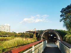 -福田红树林生态公园