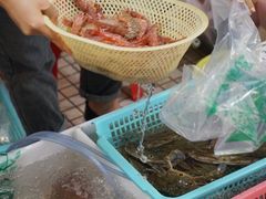 -蛇口市场