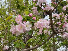 -元大都城垣遗址公园