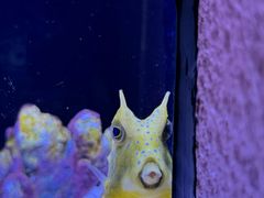 -上海海洋水族馆