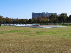 -南汇新城城市公园