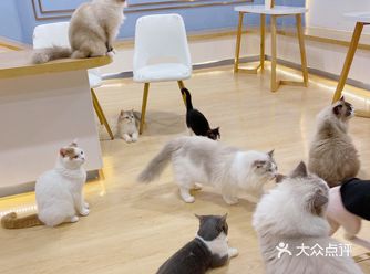 不会抓人 就是看到零食会有点小激动