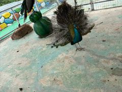 -芜湖方特东方神画