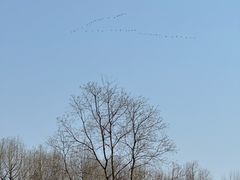 -滨湖塘西河公园