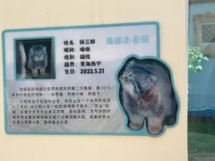-青藏高原野生动物园