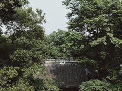 -雨花胜境