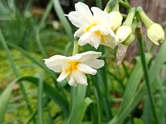 -共青国家森林公园-售票处