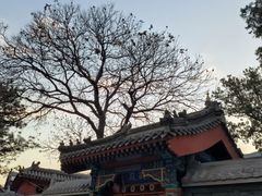 -八大处公园