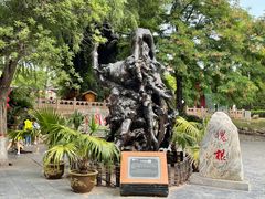 -大槐树寻根祭祖园