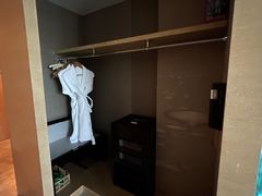 -河源万绿湖美思威尔顿酒店