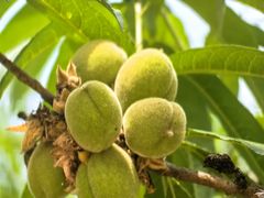 -白水寺森林公园