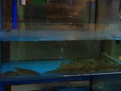 -海尚韵舍海景餐厅(朱家尖店)