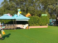 -秦皇岛乐岛海洋王国