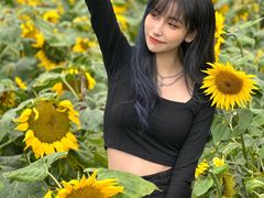 -丹樱生态园