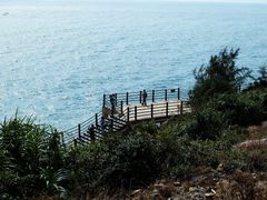-广东惠东海龟国家级自然保护区