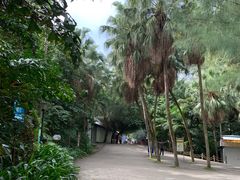 -北海市海滨公园