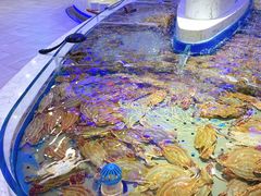 -澜悦港海鲜体验主题餐厅