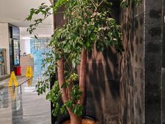 -宴周康·精致江浙菜(周浦店)