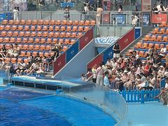 -海合安成都极地海洋公园