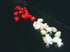 -淄博花灯齐彩城