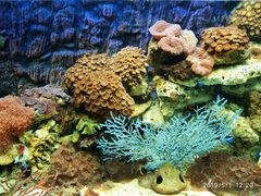 -北戴河圣蓝海洋公园