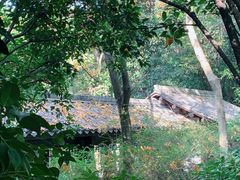 -杭州半山国家森林公园