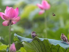 -浙江省中医院(湖滨院区)