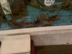 -香融府·烤鸭·家常菜(马家堡路店)