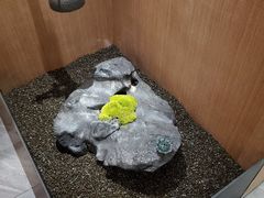 -花时·炭火烧肉(东百中心A馆店)