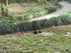 -杭州植物园